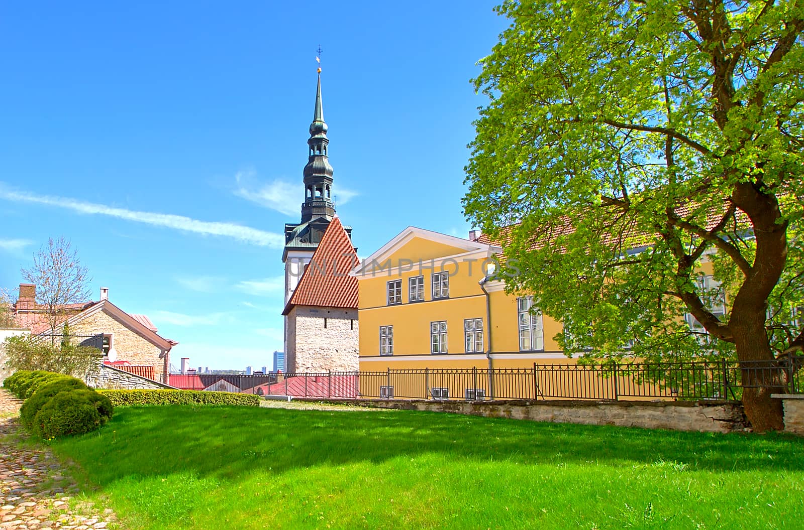 Old historic house and tower of a church in Old Town Tallinn. Beautiful sunny day with high contrast of green, yellow and blue.