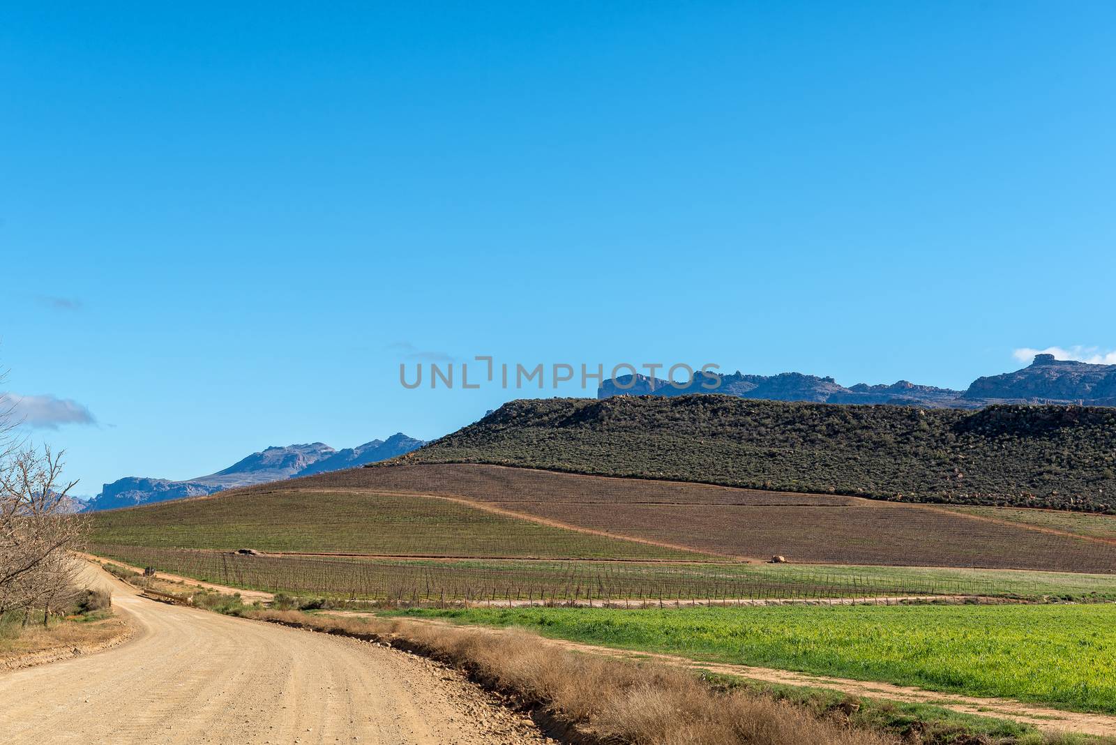 A farm scene at Dwarsrivier in the Cederberg Mountains in the Western Cape Province of South Africa