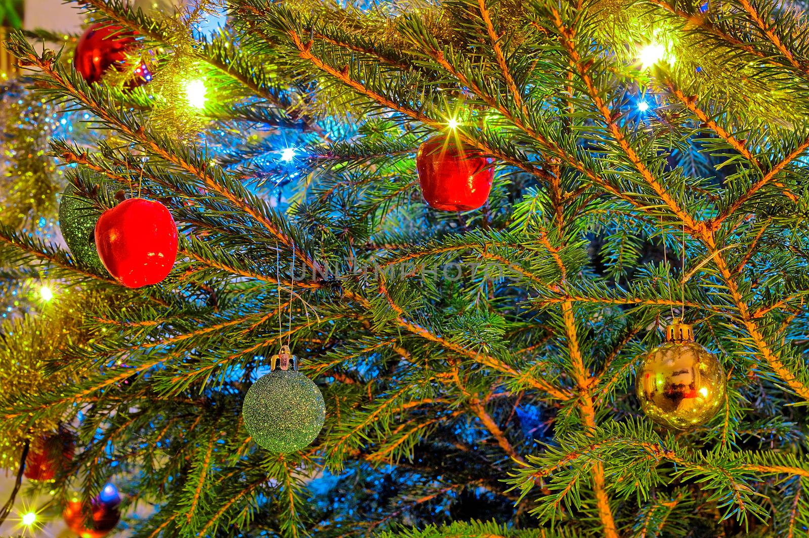 Colorful sparkling christmas tree. Red, green and golden decorations on green branches.