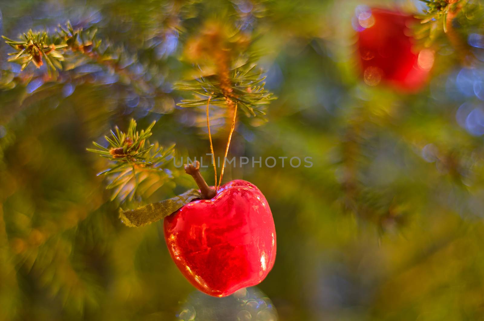 Red apple shaped decoration hanging on christmas tree.