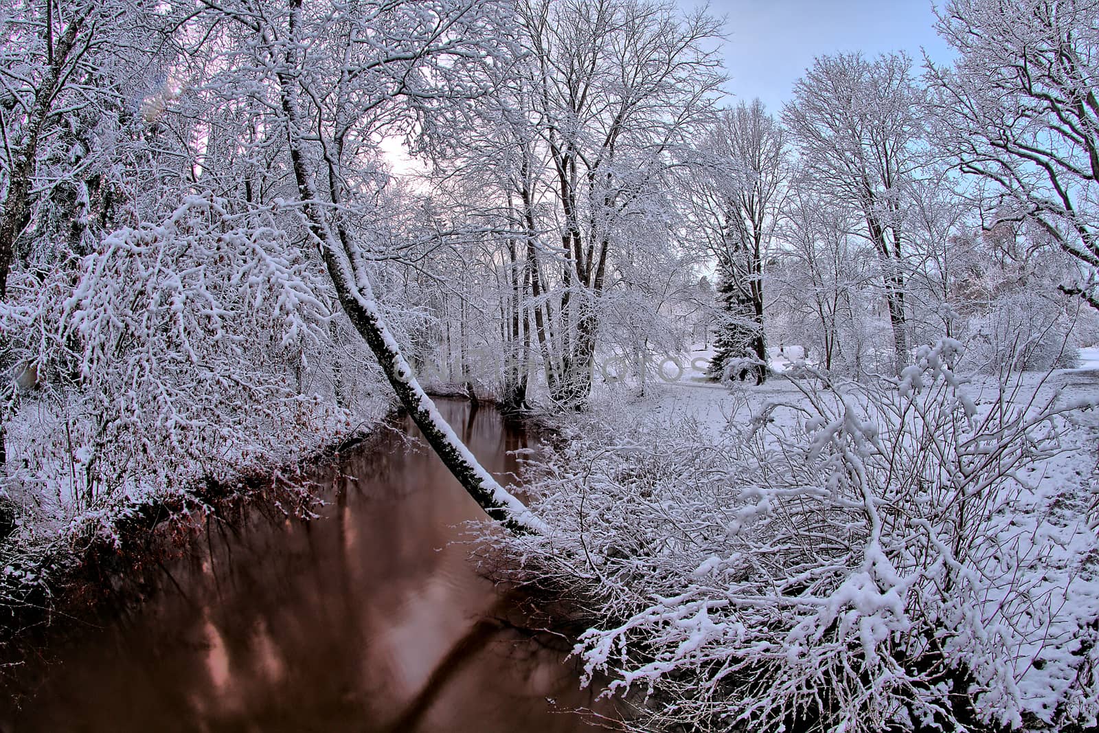 Winter evening in the park by the river. First white snow covering trees and bushes, no ice on the river yet. Blue sky and sunset behind the trees.