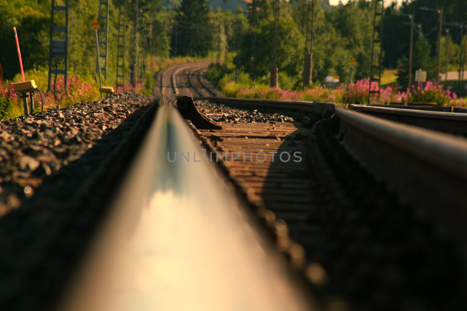 Empty railroad from low perspective.