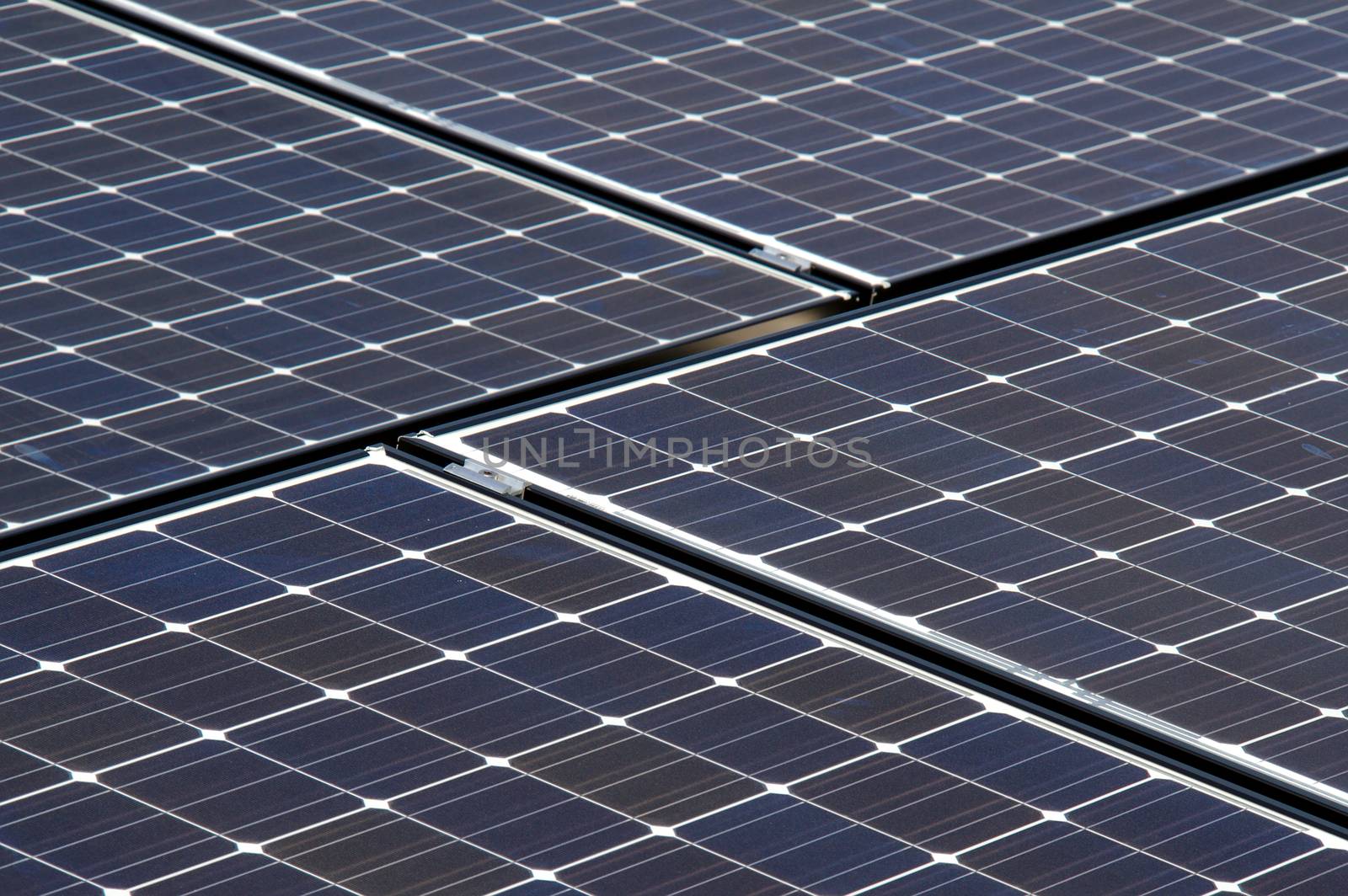 Solar farm built from many solar panels to maximize the amount of renewable energy produced.