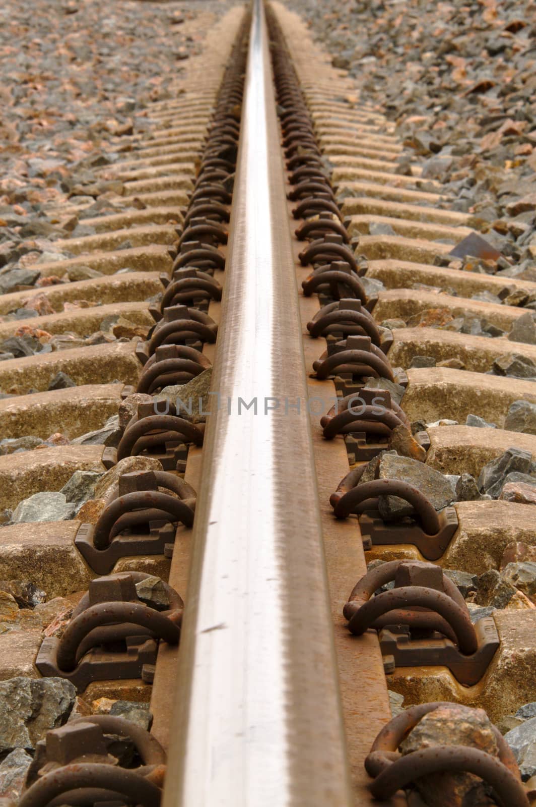 One rail of the railroad tracks.