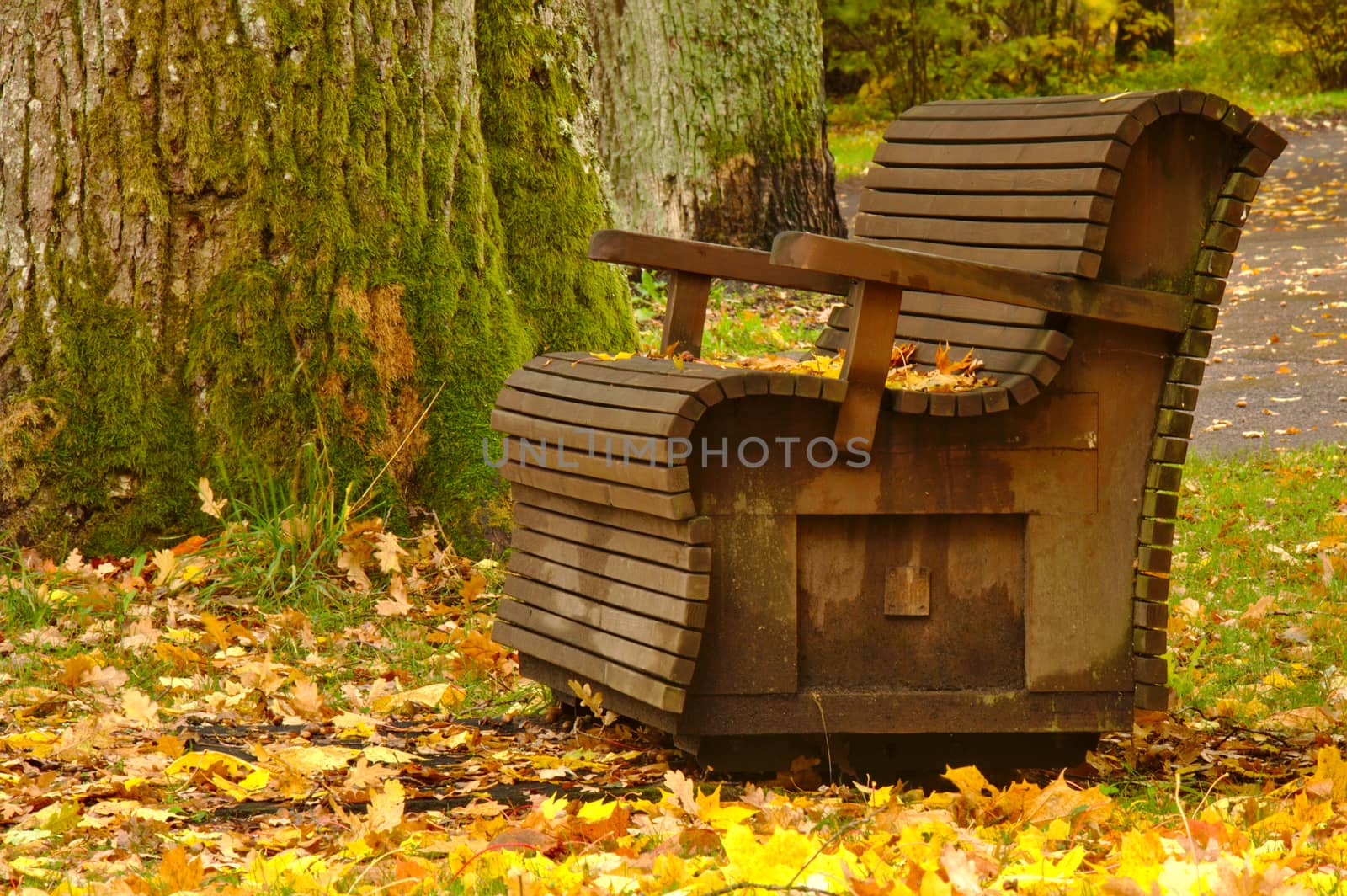 Old bench in the park in autumn, surrounded with yellow fallen leaves