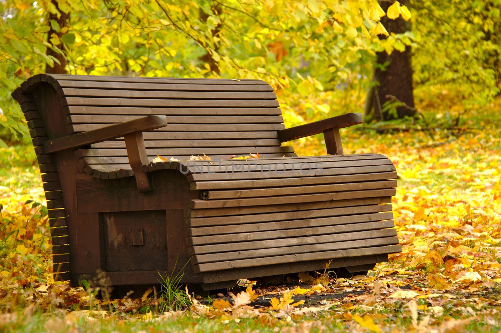 Old wooden bench in the park on a beautiful autumn day. Surrounded with many golden fallen leaves
