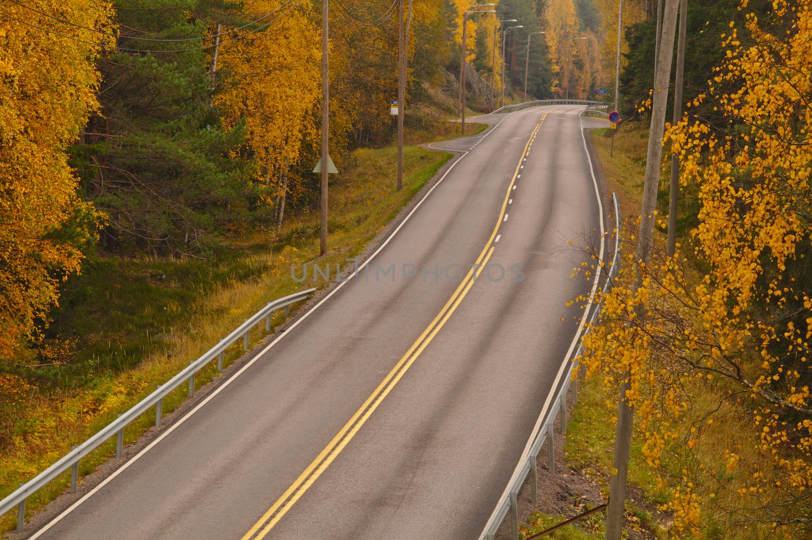 Straight road through the woods in countryside in autumn. by Valokuva24