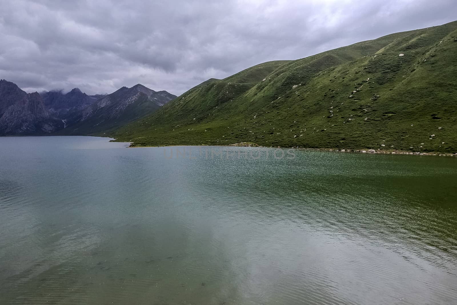 The Nianbao Yuze tourism resort in Jiuzhi Qinghai province.