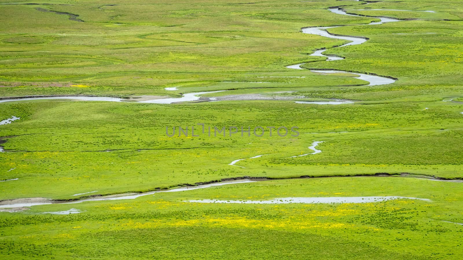 The Awancang Wetland in Gannan, Gansu province. Altitude 3501.