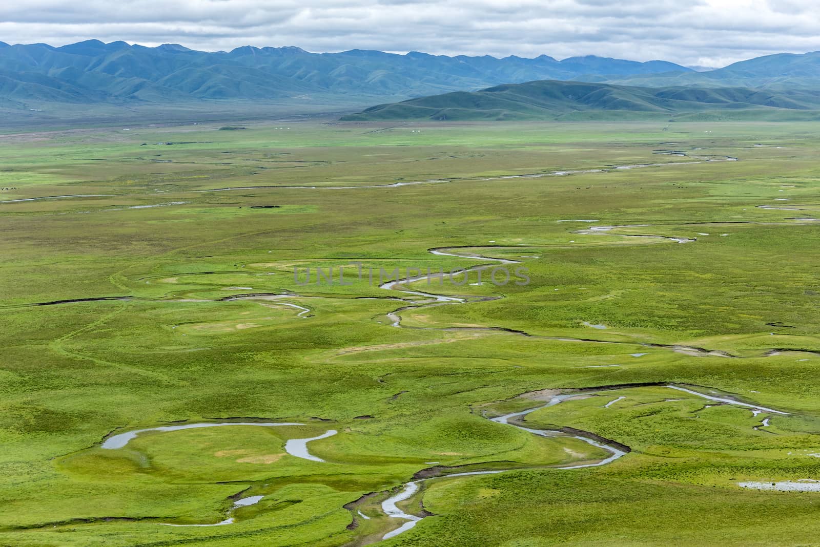 The Awancang Wetland in Gannan, Gansu province. Altitude 3501.