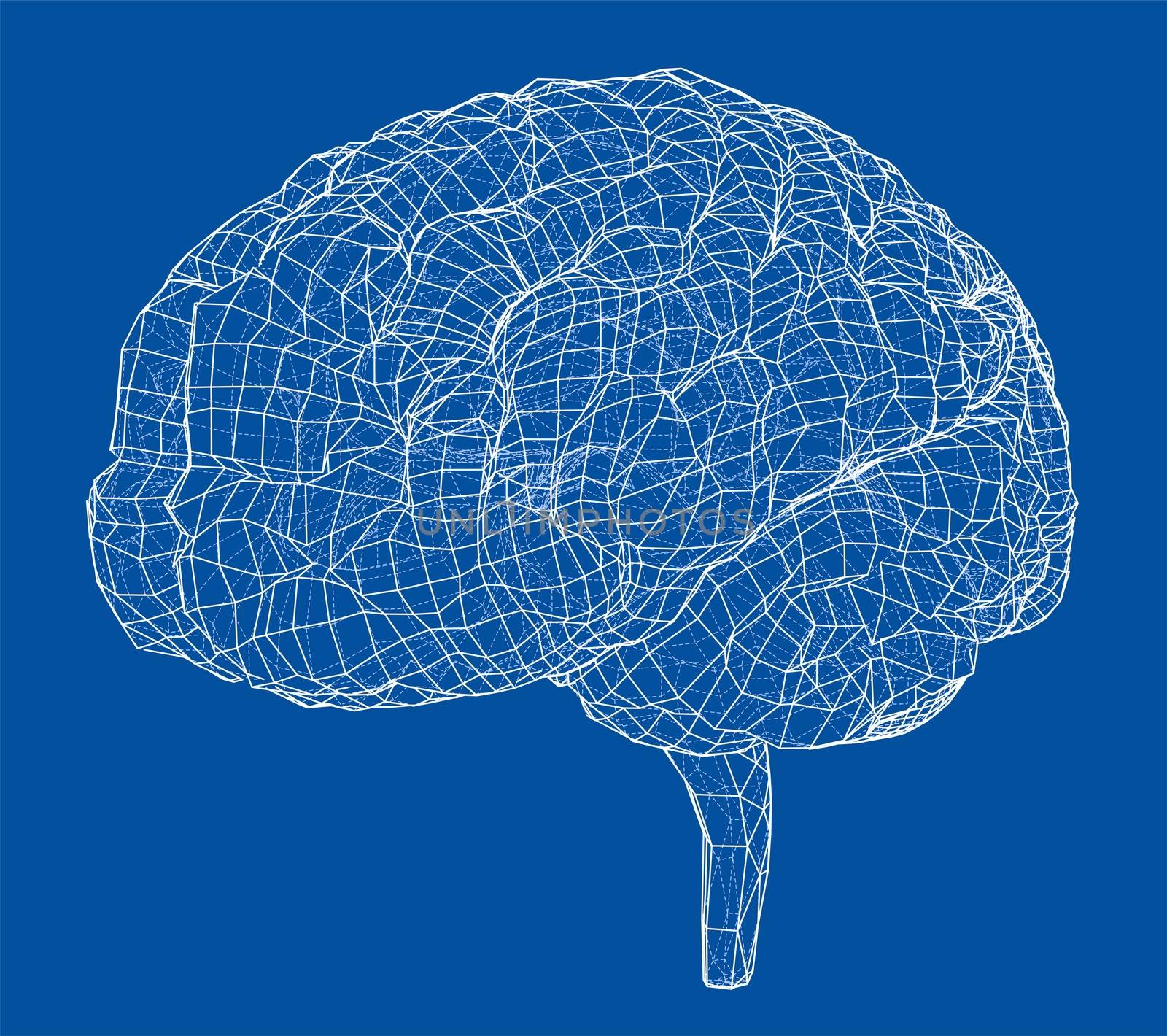 3D outline brain. Wire-frame style. 3d illustration