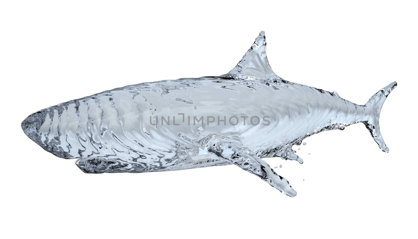 Water shark isolated on white background. 3d illustration