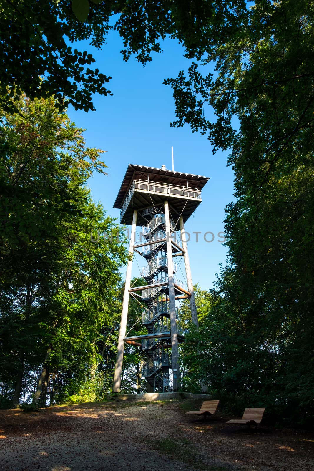 Famous tower Aalbaeumle near Aalen in Germany in summer