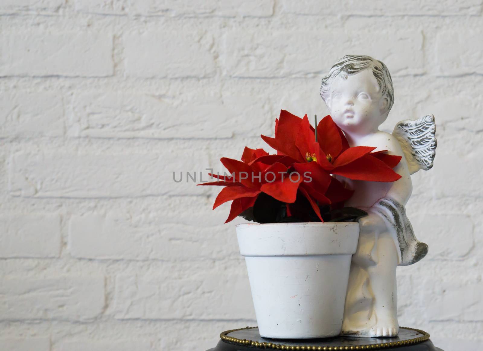 red christmas star flower in a angel flowerpot in closeup and brick wall background