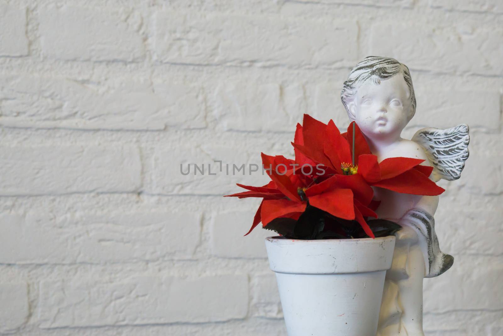 closeup of a red christmas star flower in a flowerpot with angel sculpture isolated on a white brick wall background