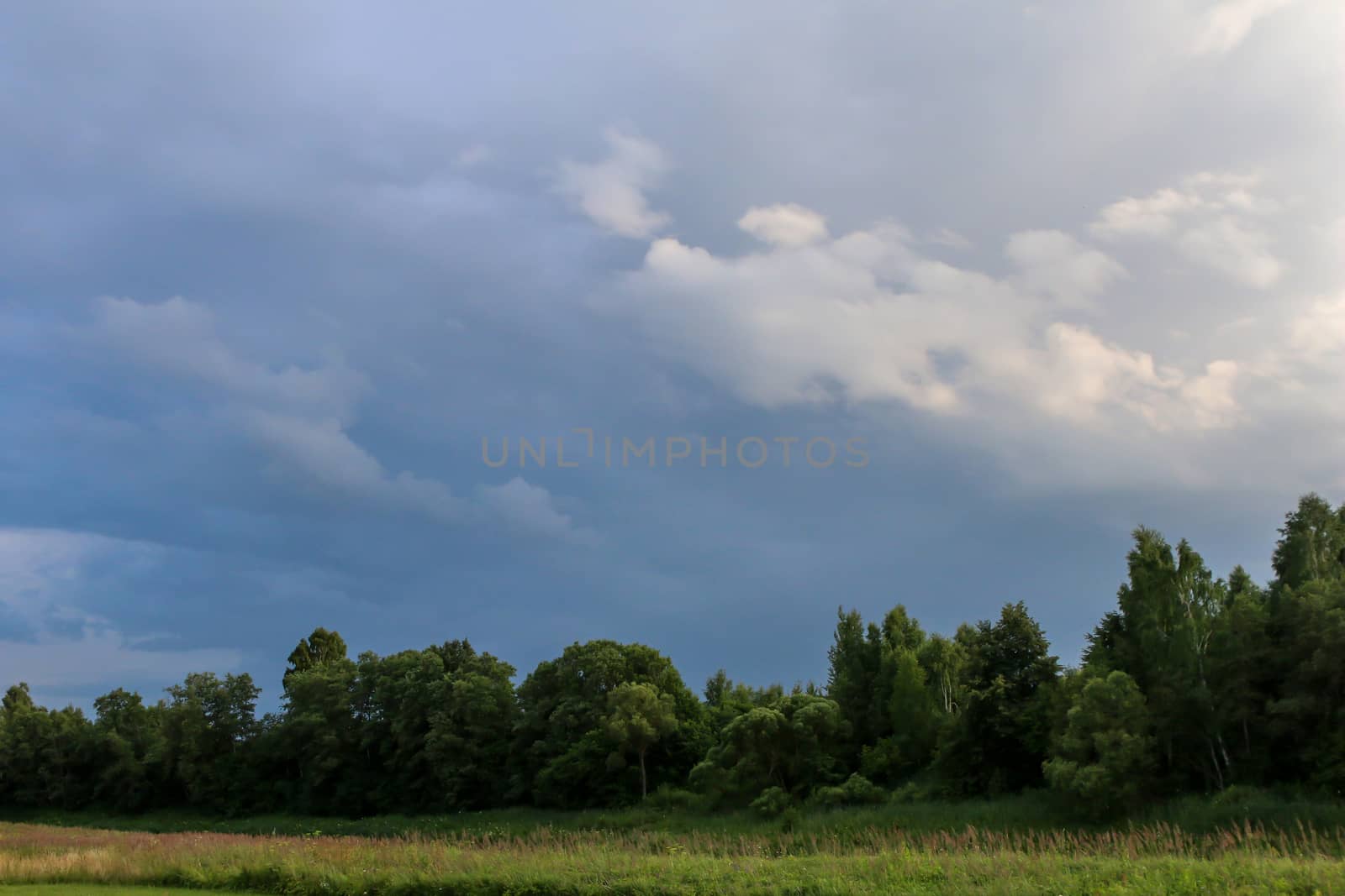 Summer landscape with meadow, wood and cloudy blue sky. Classic rural landscape in Latvia.