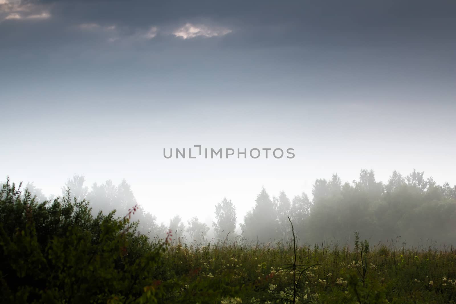 Beautiful landscape with mist. Summer beautiful idyllic landscape in Latvia. Meadow, wood and sky with mist. Rural landscape with mist on the coast of river Memele, Latvia.