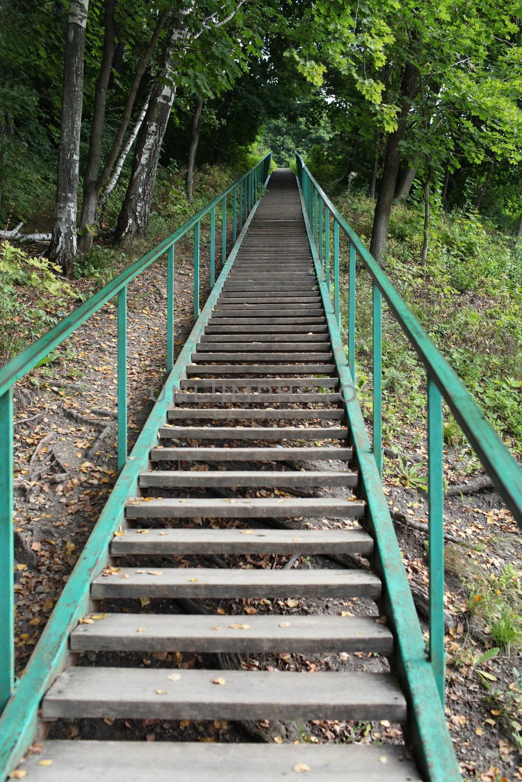very long staircase high up, among  green of trees, low angle