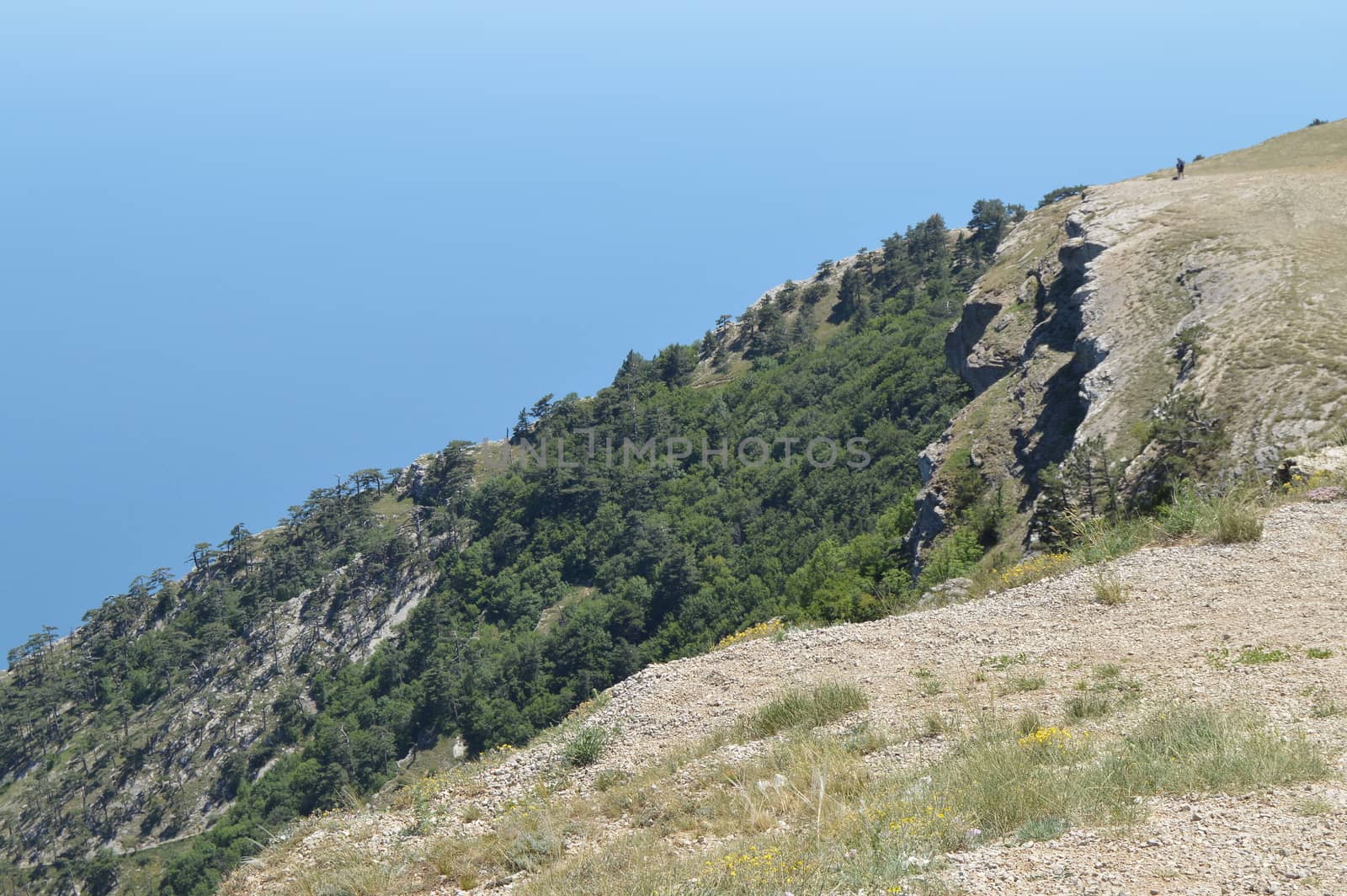 Rocky mountain peaks, steep slopes covered with green forest against blue sky.