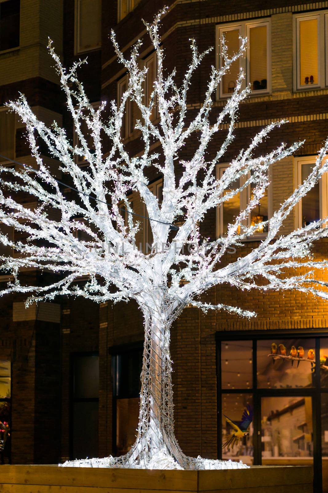 beautiful lighted up tree full of christmas lights in the streets of the city at night