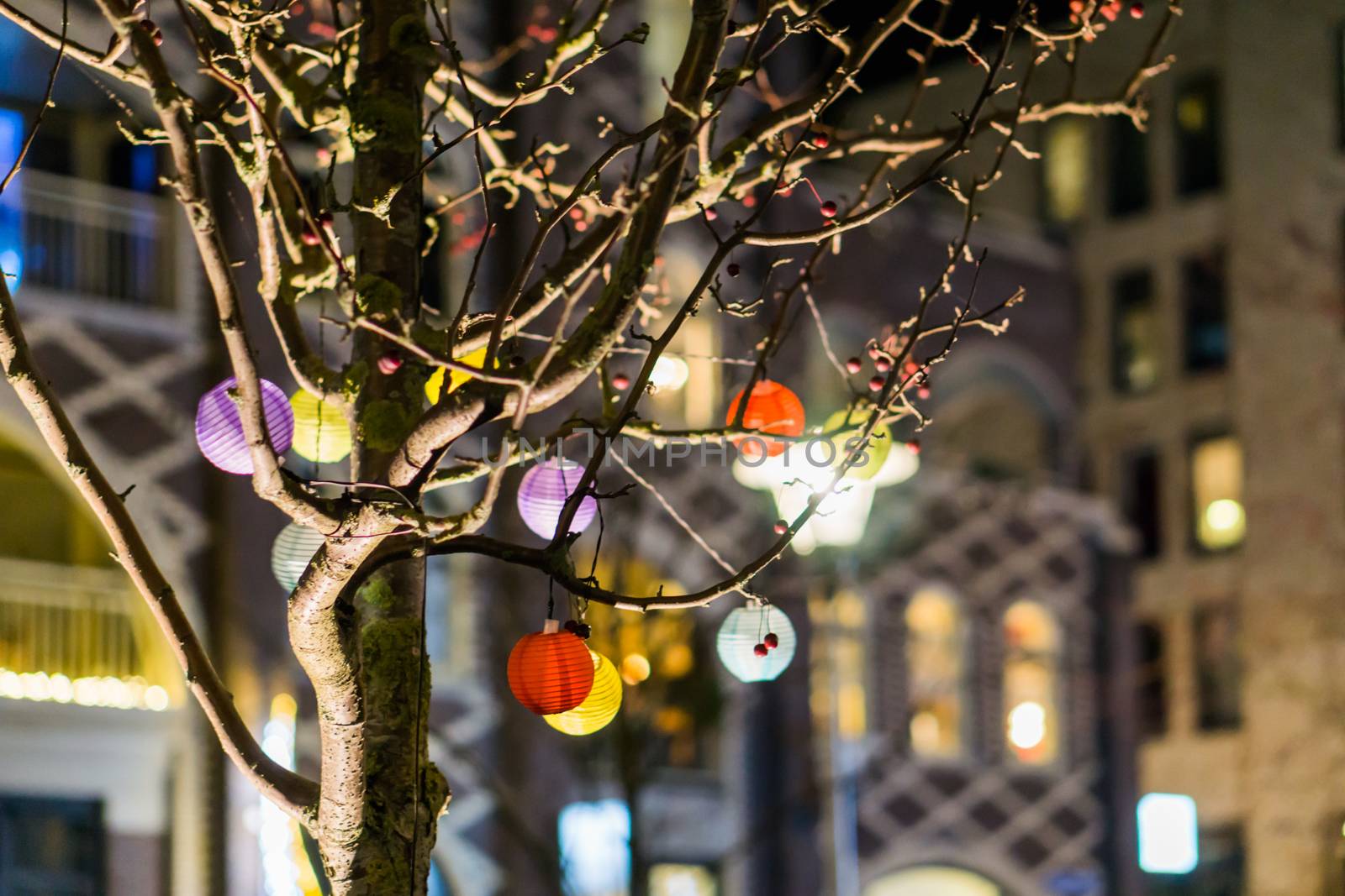 macro closeup of a decorated tree with chinese lanterns in different colors by charlottebleijenberg