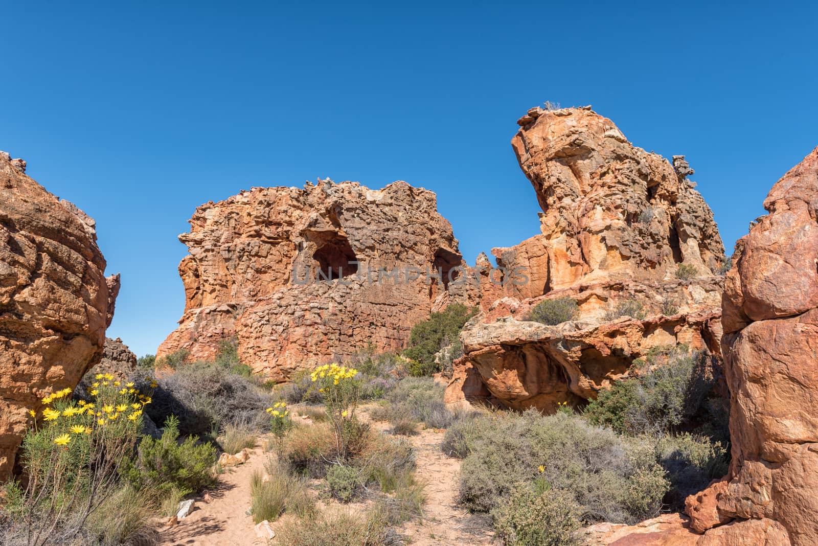 Rock formations and wild flowers at the Stadsaal Caves and Rock Art site in the Cederberg Mountains in the Western Cape Province of South Africa