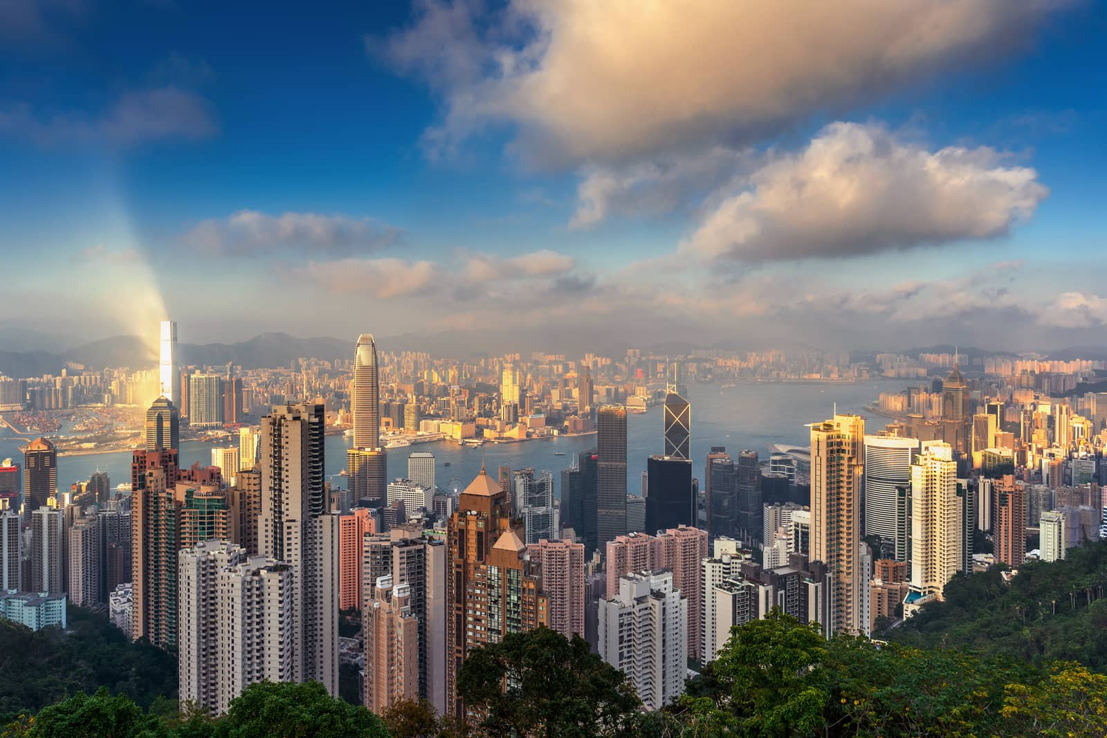 Hong Kong cityscape from the Victoria peak. by gutarphotoghaphy