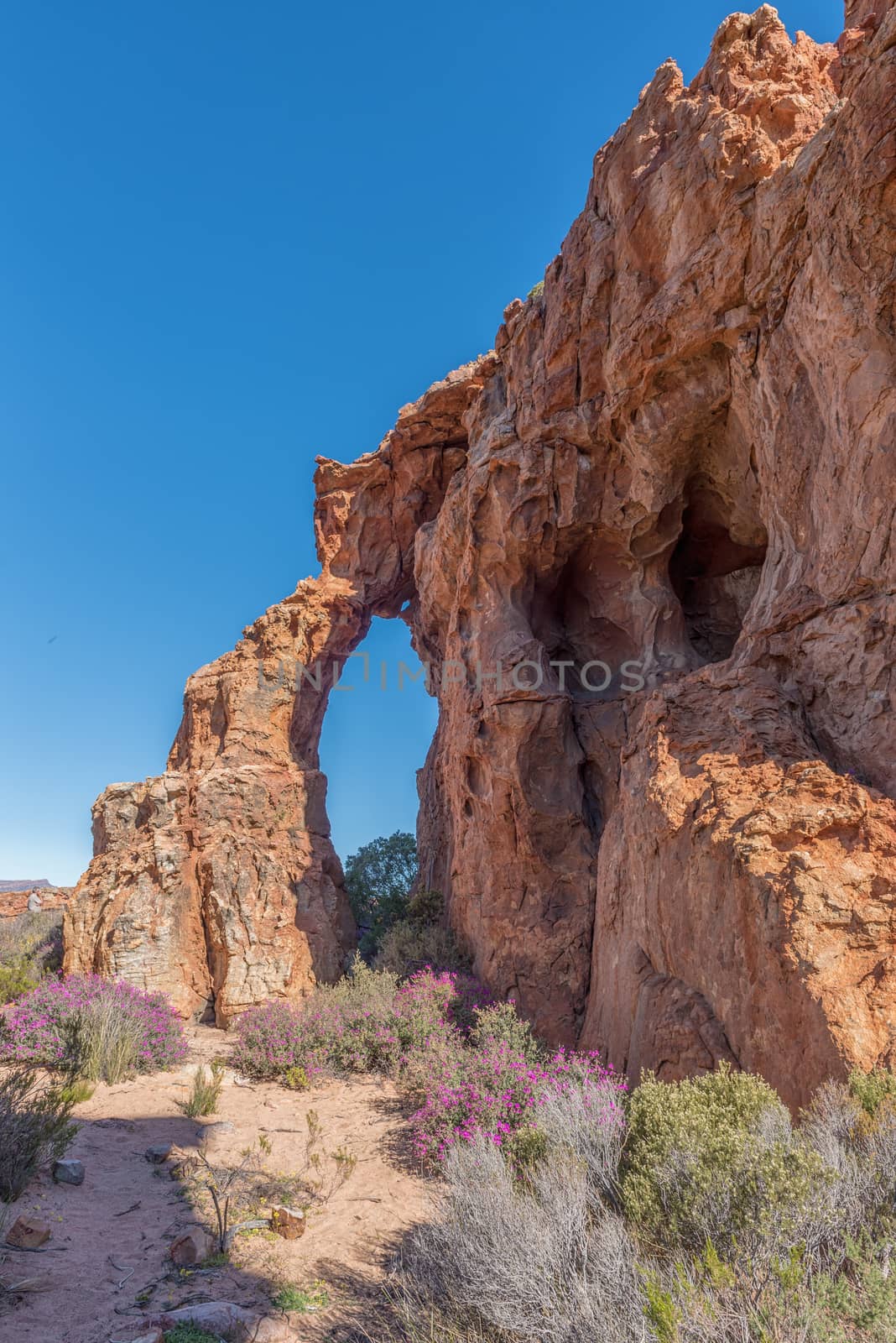 A rock arch and wild flowers at the Stadsaal Caves and Rock Art site in the Cederberg Mountains in the Western Cape Province of South Africa