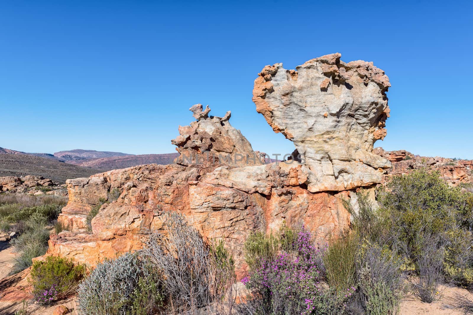 Rock formations at the Stadsaal Caves and Rock Art site in the Cederberg Mountains in the Western Cape Province of South Africa, Wild flowers are visible