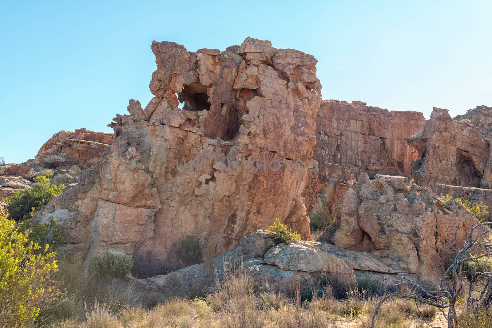Delicate rock formations at the Stadsaal Caves in the Cederberg Mountains in the Western Cape Province of South Africa
