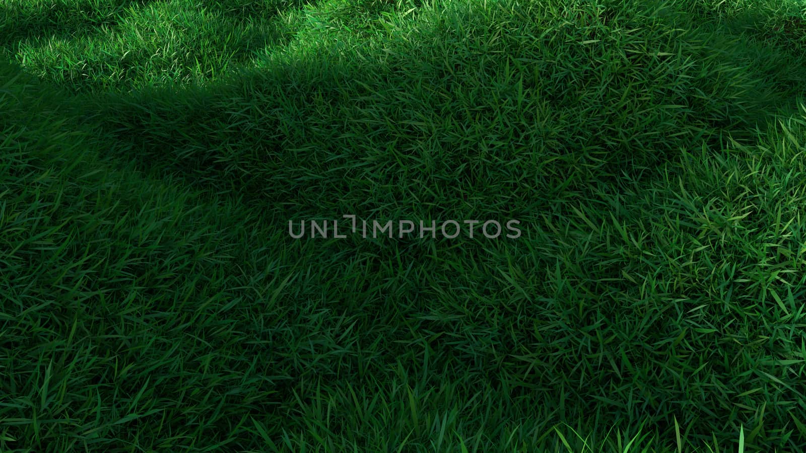 Green grass growing on hills. Top view. 3d rendering