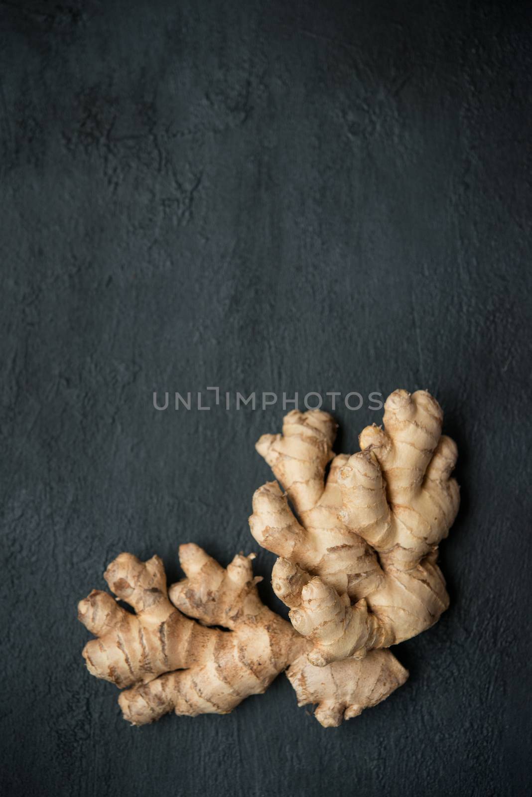 Top view fresh raw ginger root with copy space on dark background.