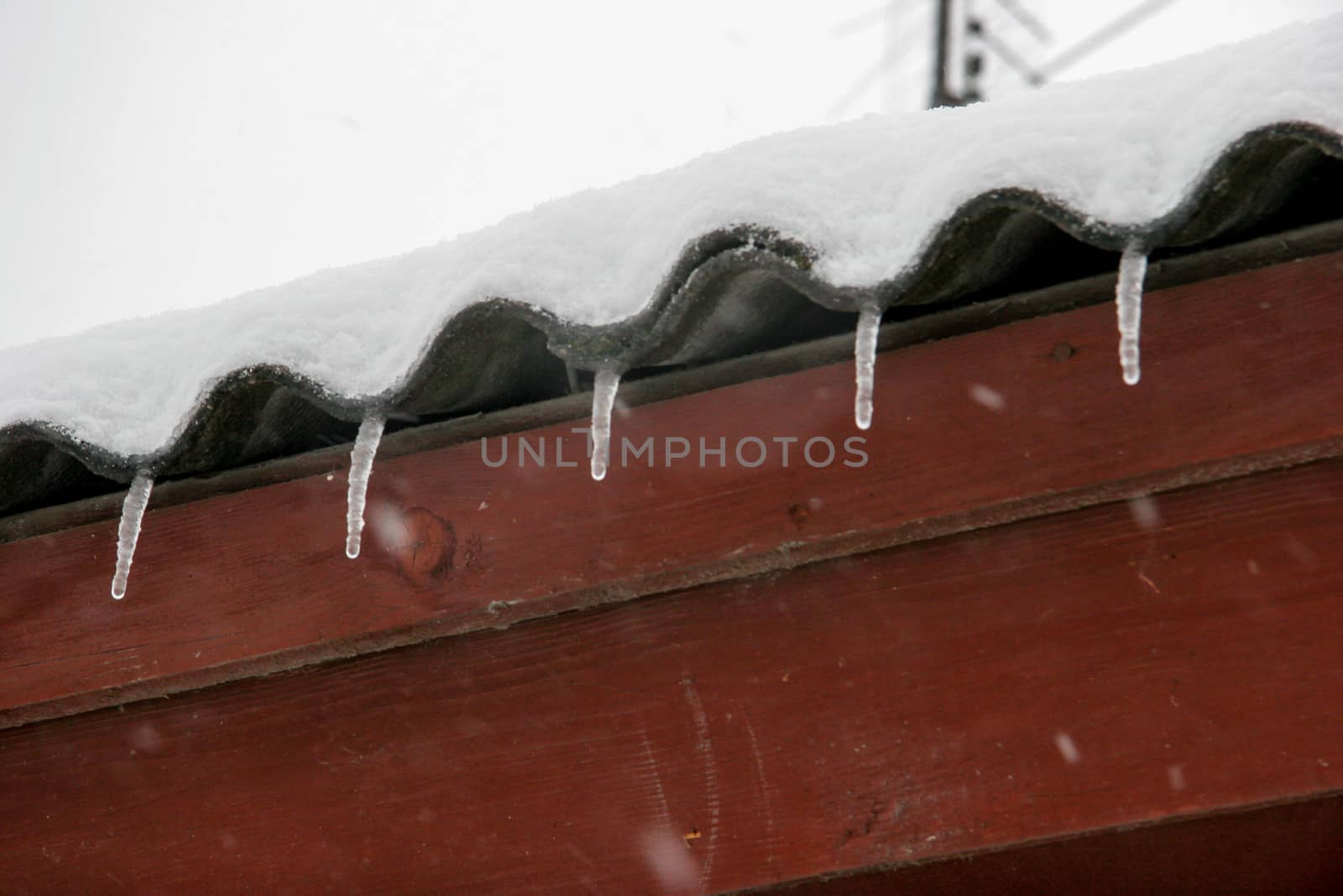The roof of house covered with snow and icicles. Icicles hanging from roof. Winter in Latvia. Icicles hang from brown house roof. 