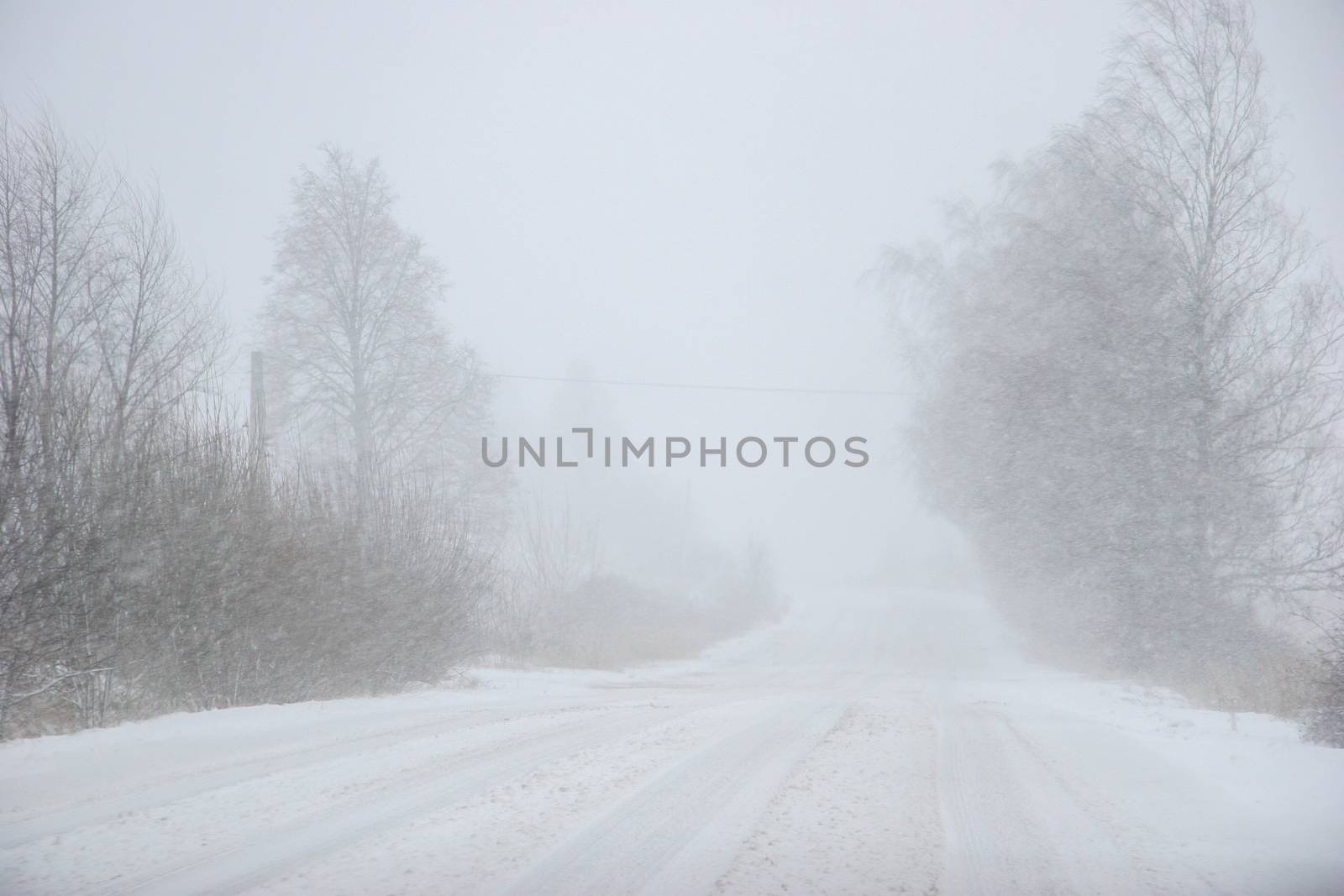 Beautiful landscape of the forest on a cold winter day with trees covered with snow. Snowfall in the forest in Latvia. Country road covered with snow. Winter in forest. 

