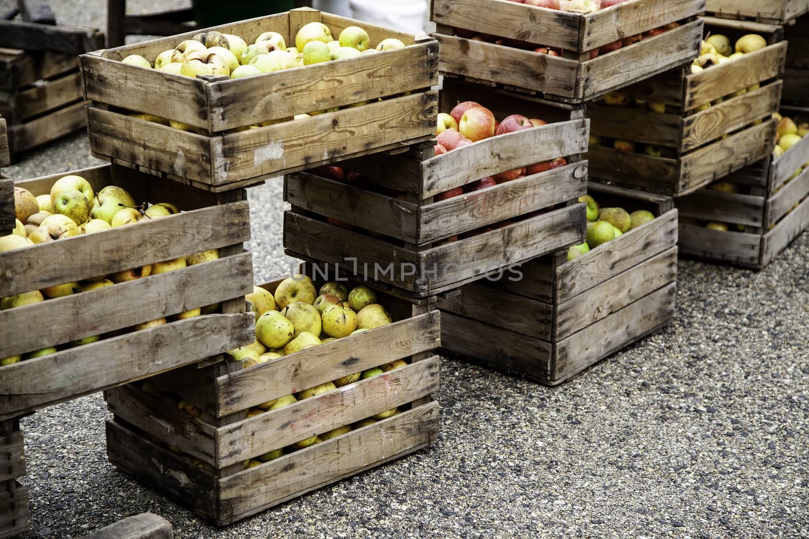 Apples in wooden boxes by esebene