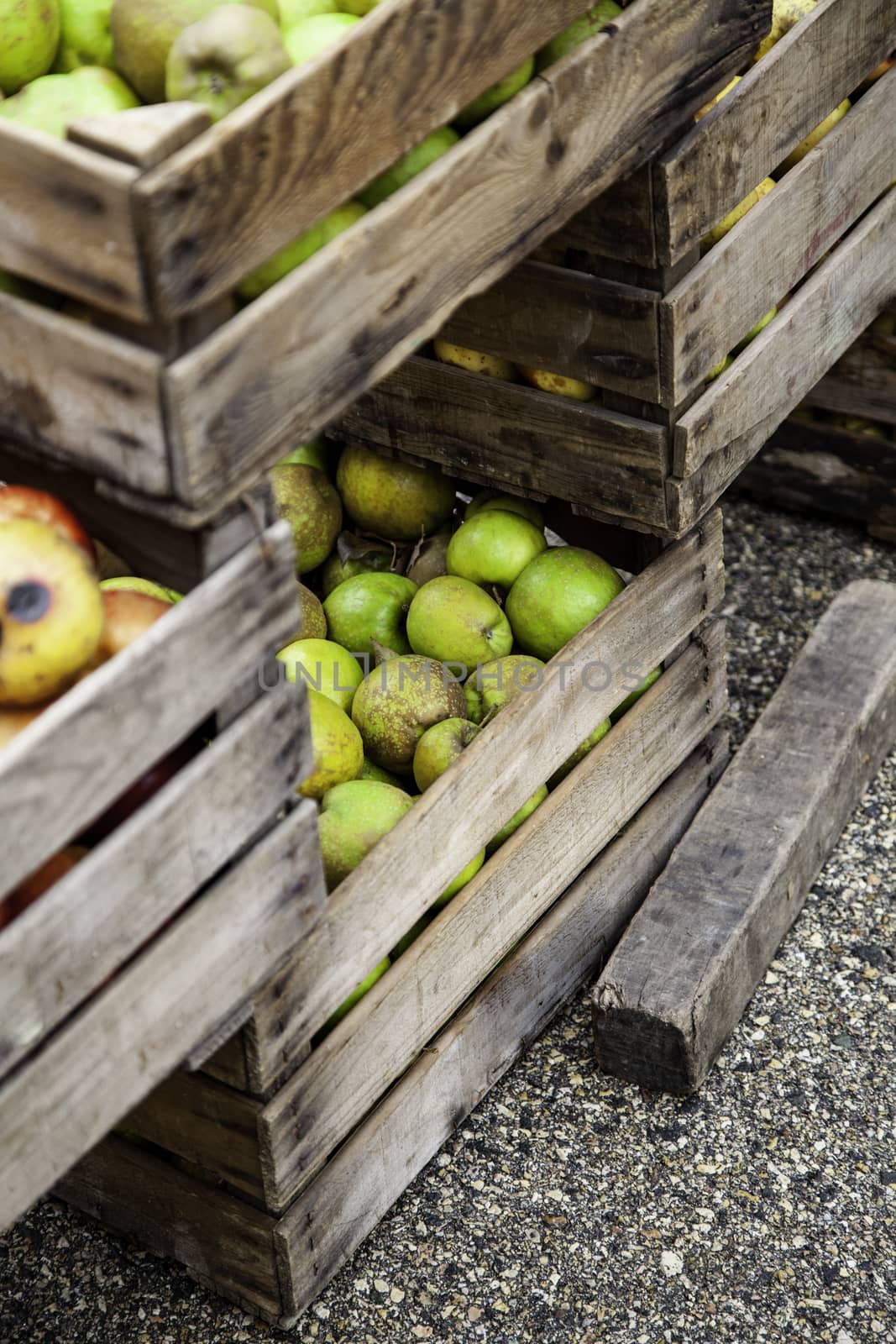 Apples in wooden boxes by esebene
