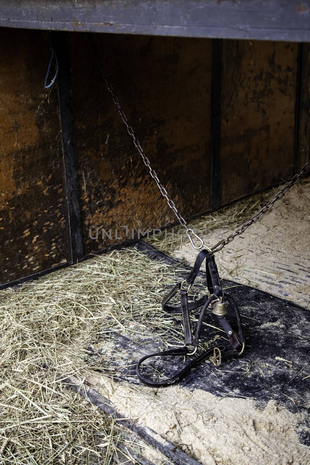 Empty horse stable, accommodation detail for animals