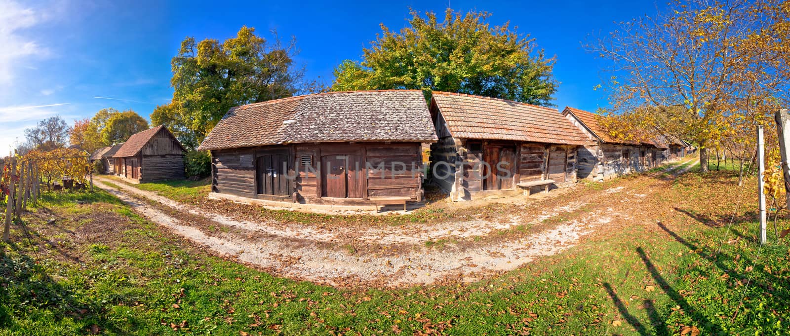 Wine historic street vineyards and wooden cottages panoramic view, landscape of Kalnik region in Croatia