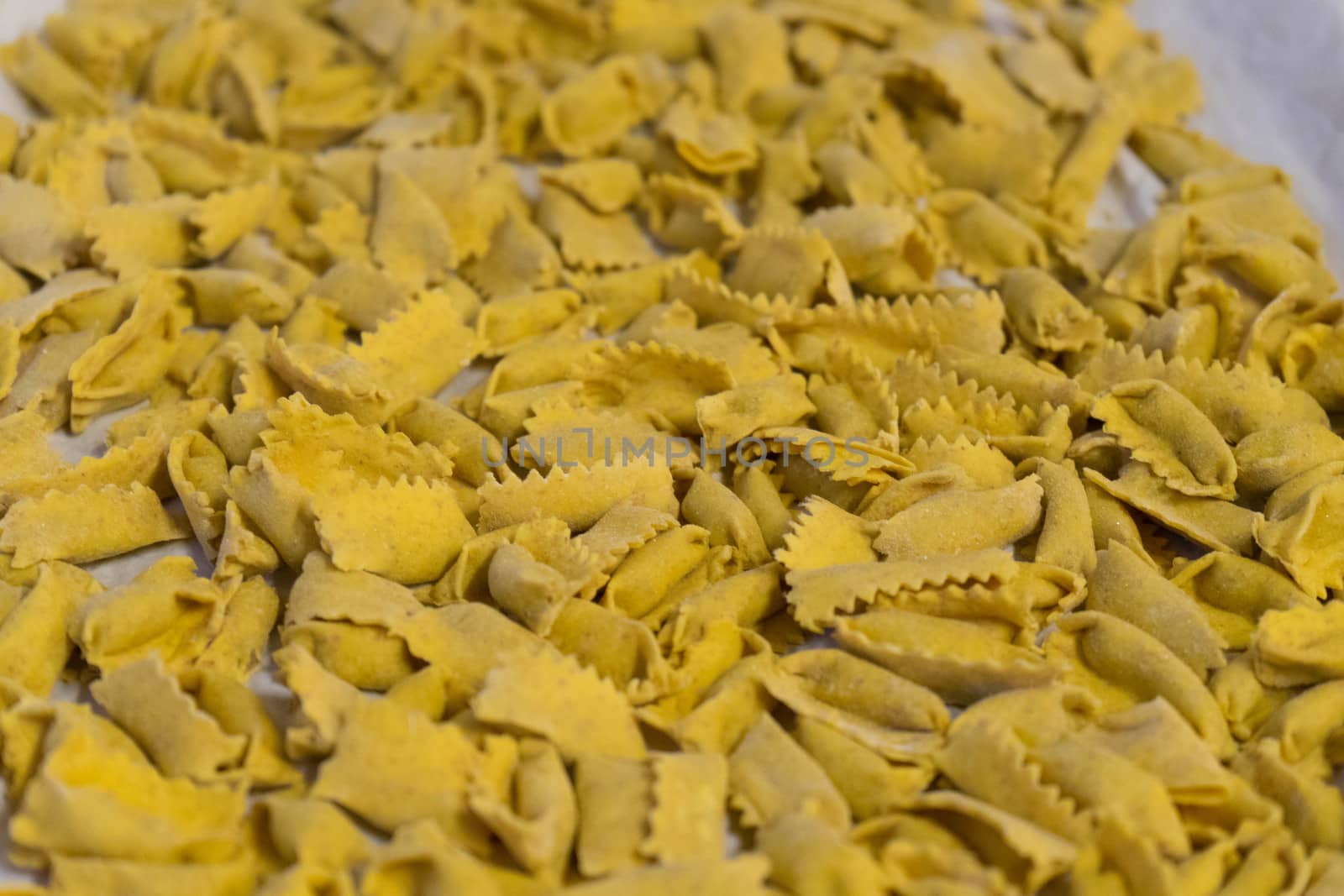 Agnolotti: home made pasta of the Langhe, Piedmont - Italy