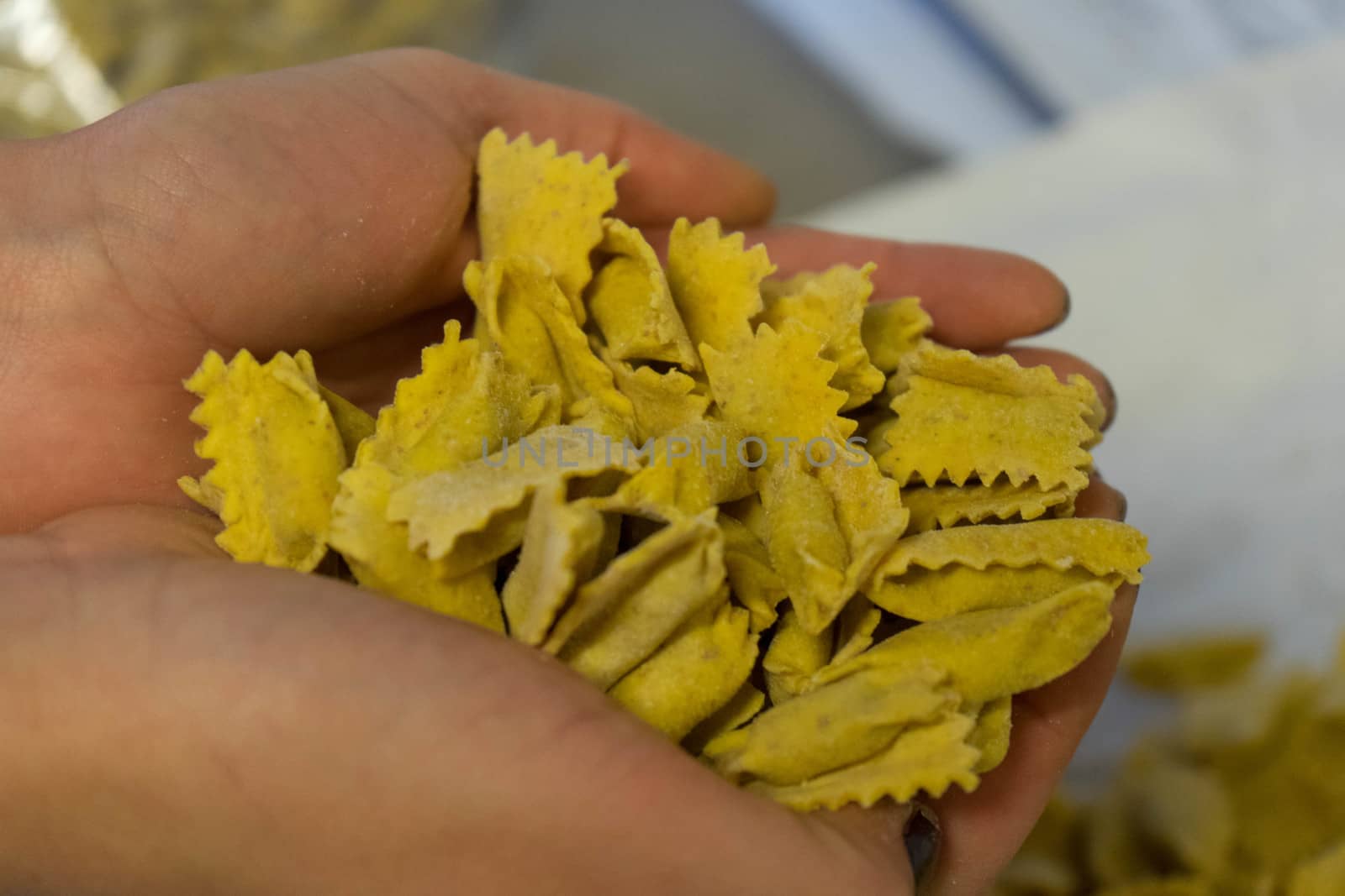 Typical pasta of the Langhe: agnolotti by cosca