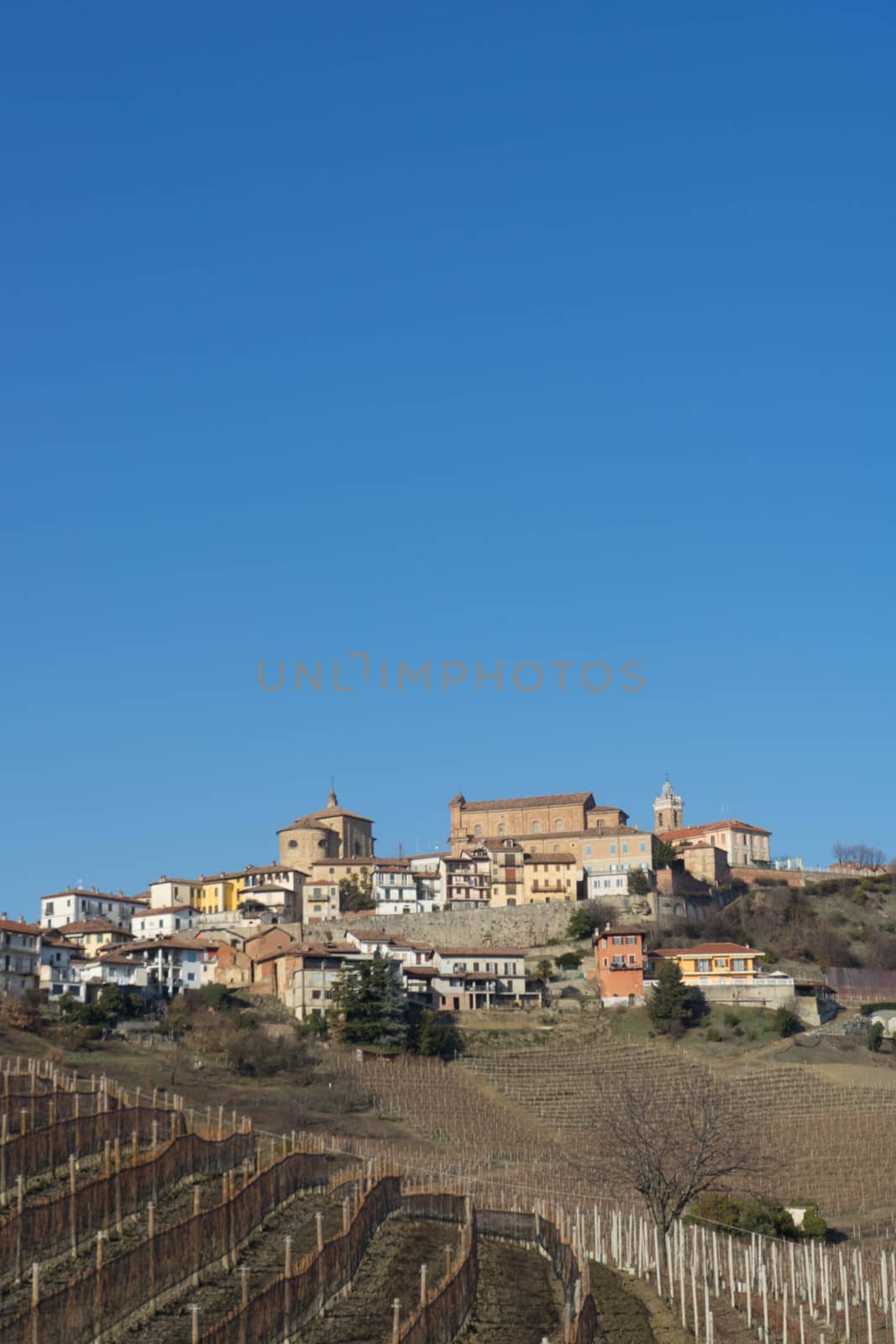 The village of La Morra on a hill of the Langhe, Piedmont - Italy