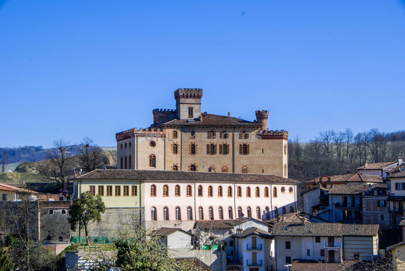 Castle "Falletti" of Barolo, Cuneo - Piedmont by cosca