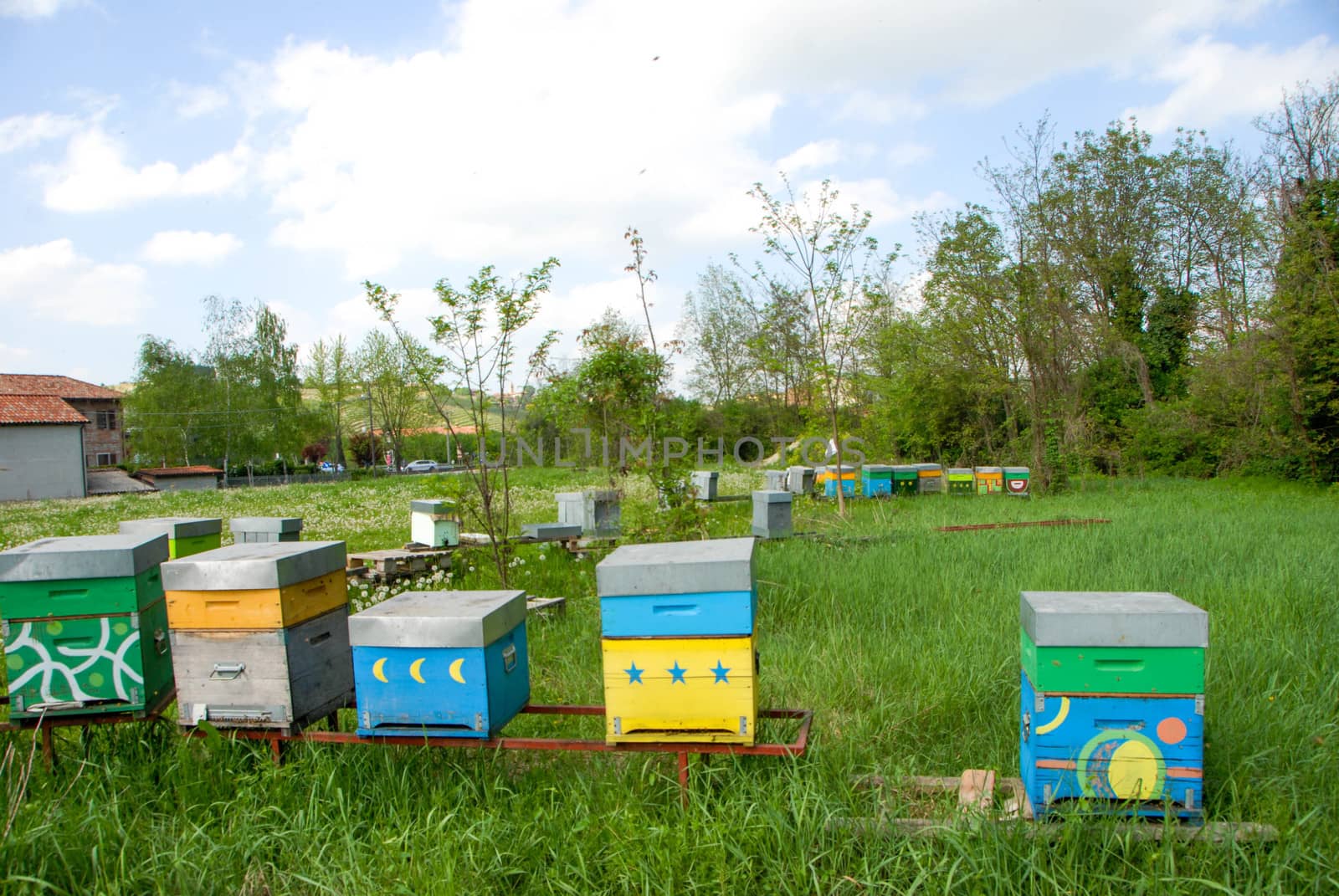 Some Hives in a meadow by cosca