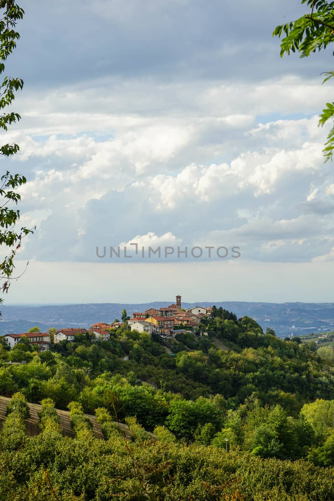 View of the hill with the village of Diano d'Alba - Italy