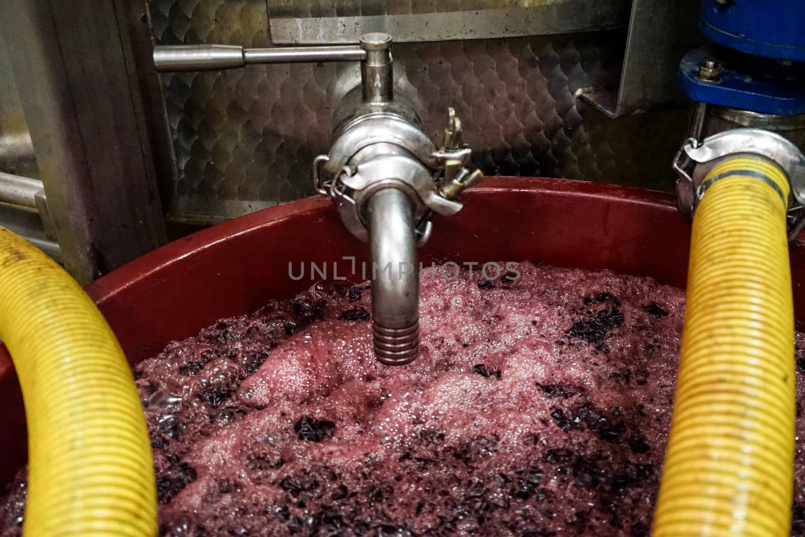 Grape fermentation by cosca