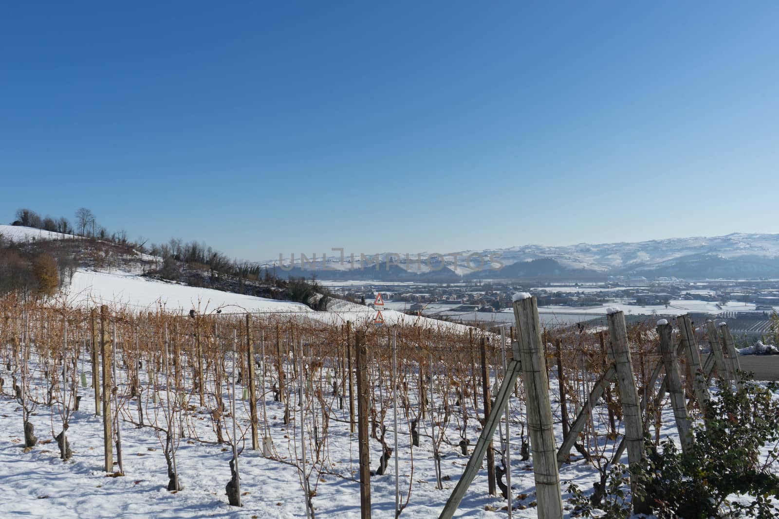 View of the Langhe hills with snow by cosca