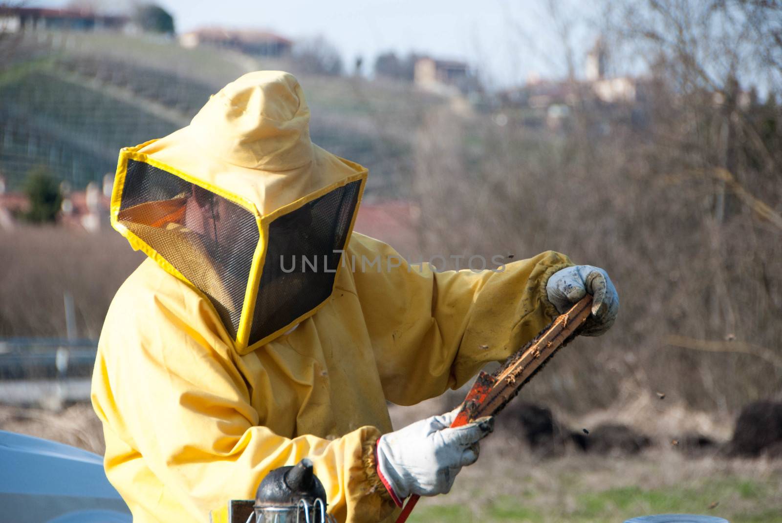 Beekeeper with his bees by cosca