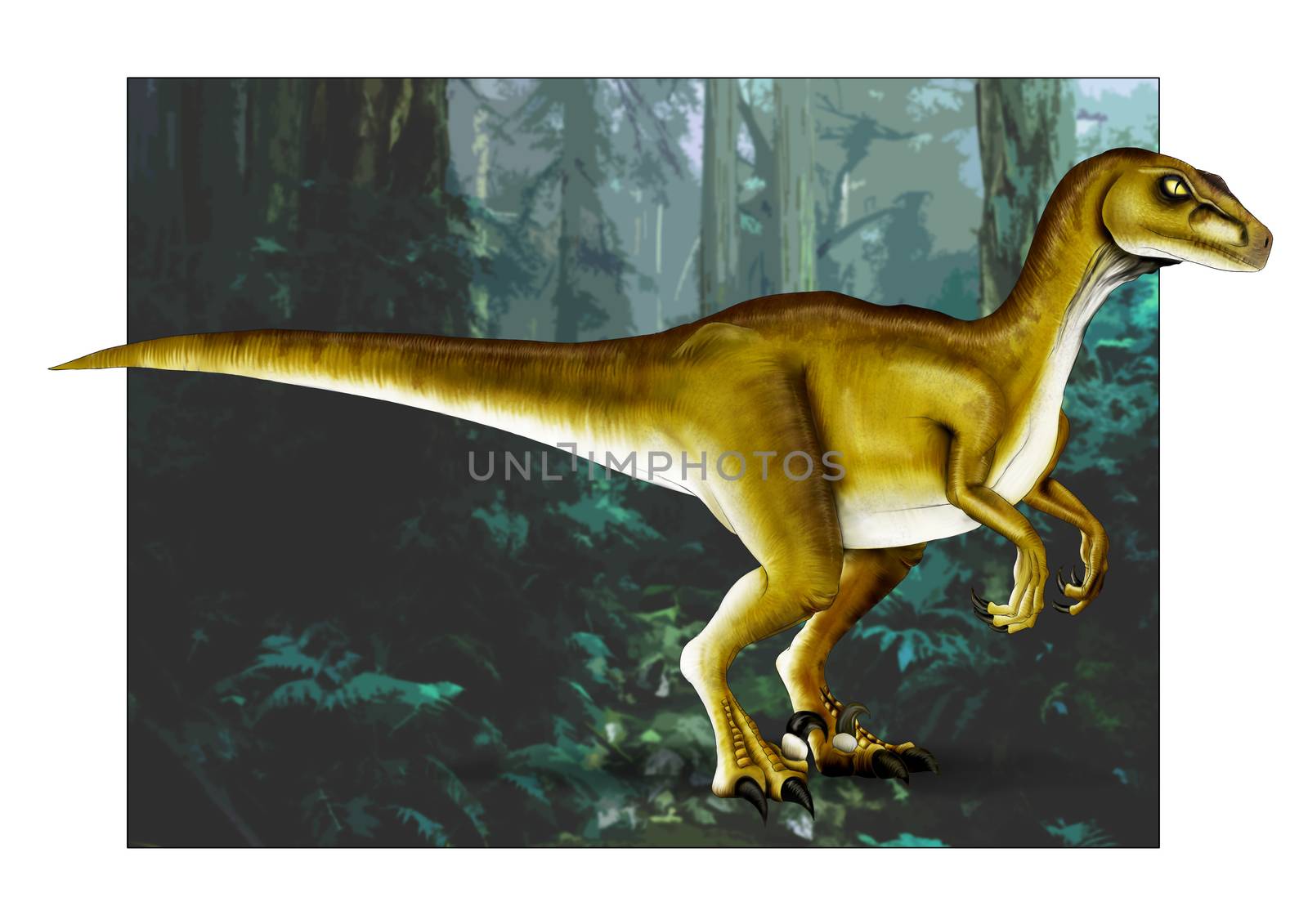 velociraptor dinosaur illustration hand drawn comic style by dean