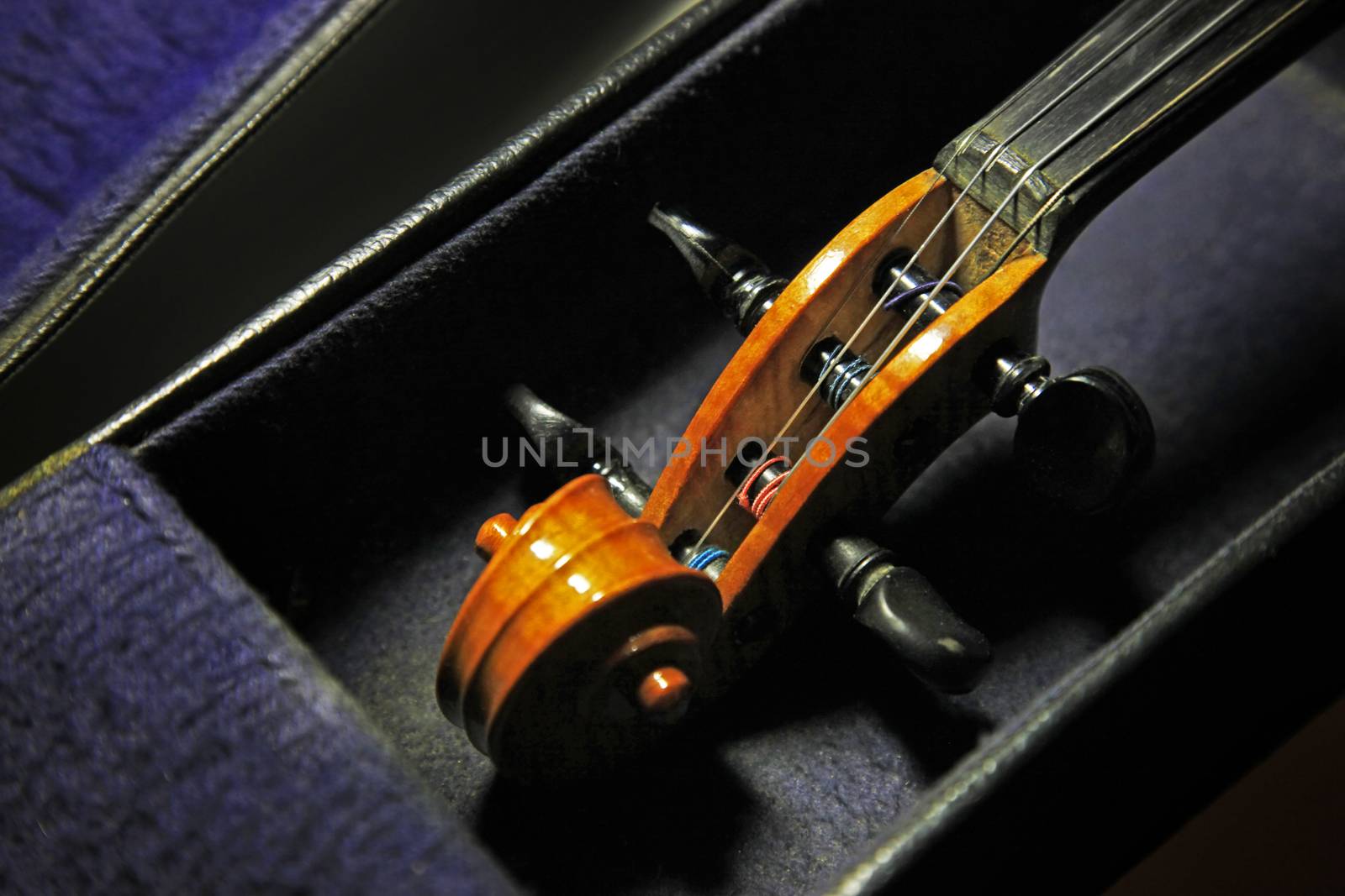 1937 old violin close up