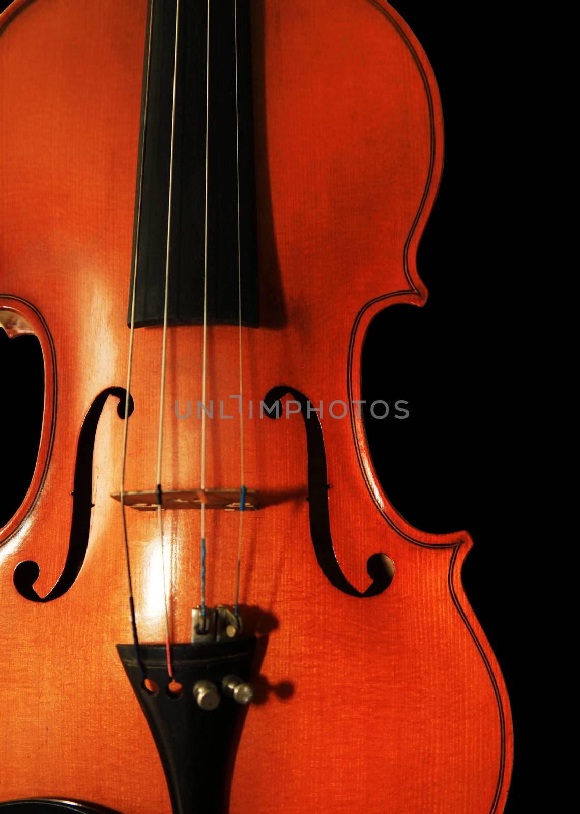 Old violin on the black background  by friday